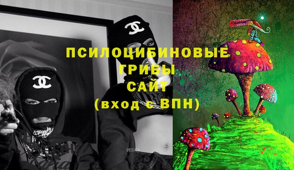 2c-b Алзамай