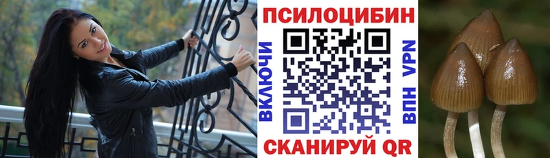 Псилоцибиновые грибы мухоморы Кореновск