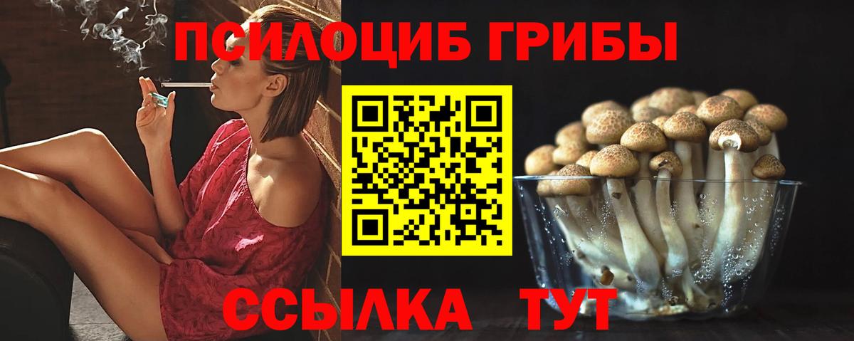 Псилоцибиновые грибы Cubensis Кореновск